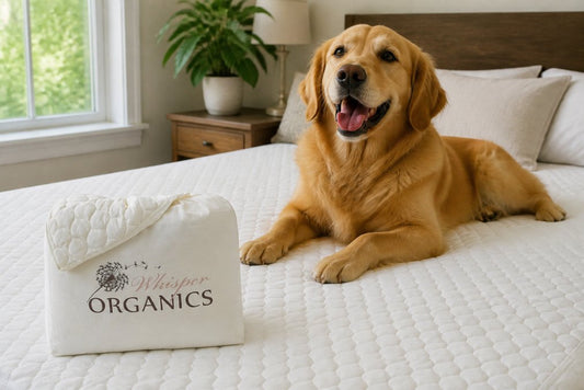 Best Quality Bedding for Pet Owners: 2026 Guide