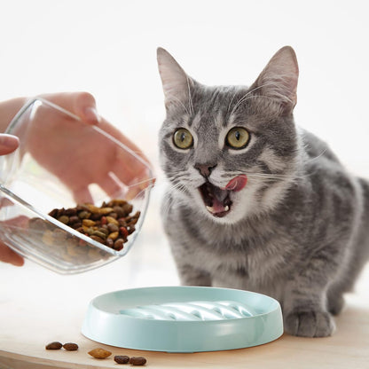 Fishbone Slow Feeder Bowl for Cats & Small Dogs