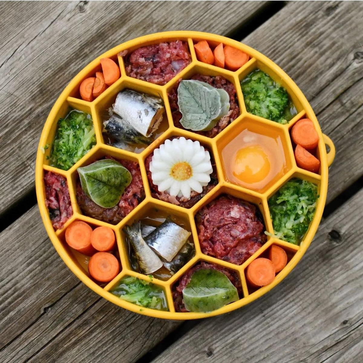 Honeycomb eBowl Deep Slow Feeder Dog Bowl for Enrichment