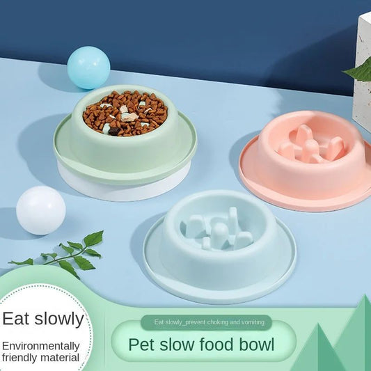 Non-Slip Slow Feeder Pet Bowl
