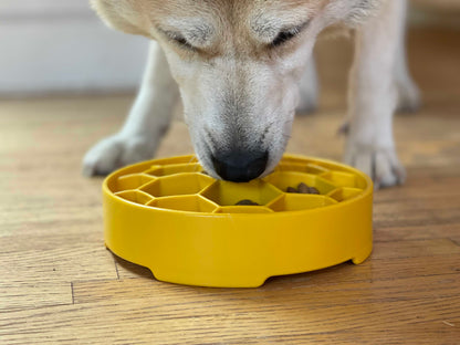 Honeycomb eBowl Deep Slow Feeder Dog Bowl for Enrichment