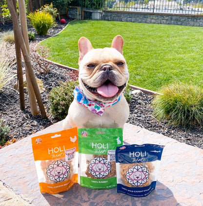 Wild Caught Salmon Dog Food Topper